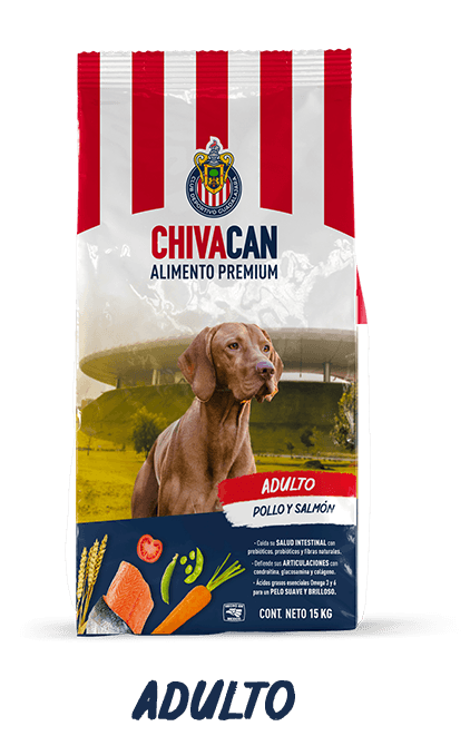 Bolsa de CHIVACAN Adulto