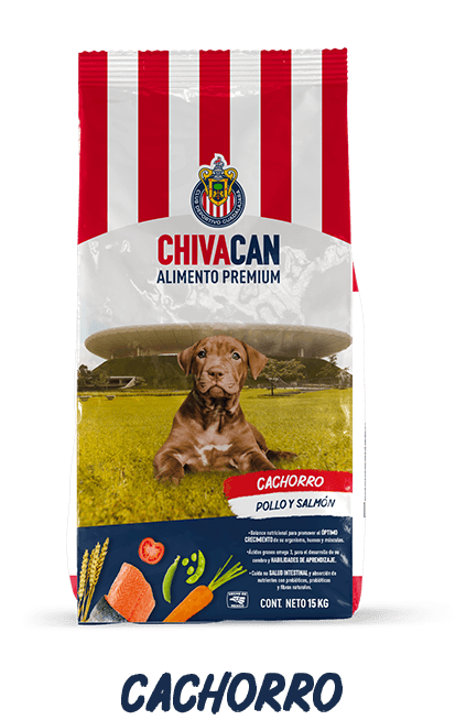 Bolsa de CHIVACAN Cachorro